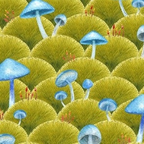 Mushrooms and Moss green 