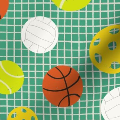 Court Sport Balls and Net