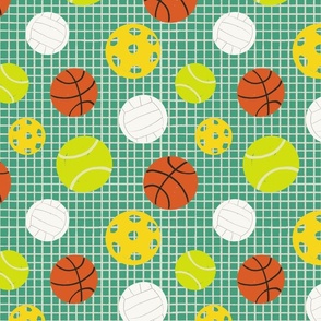 Court Sport Balls and Net