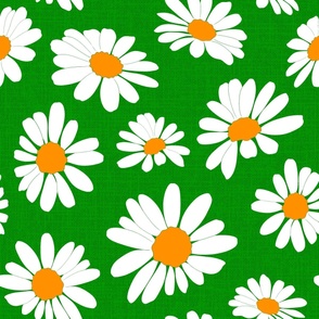 Daisies in the grass