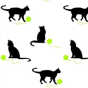 Black cats play tennis