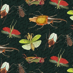 Insect Fabric, Printed Fabric, Insect, Insect Wallpaper, Insect Print  , Bug Print 