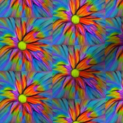 multicolored flower