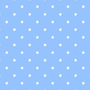 Light Blue Polka Dots Spots