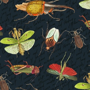 Insect Fabric, Printed Fabric, Insect, Insect Wallpaper, Insect Print  , Bug Print