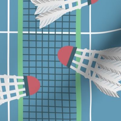 Badminton shuttlecocks Court Sport Play Game Blue white