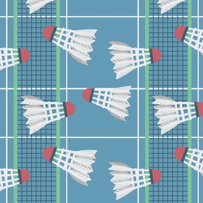 Badminton shuttlecocks Court Sport Play Game Blue white