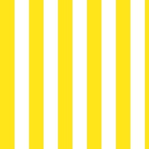 Yellow and White Vertical Stripe Coordinate
