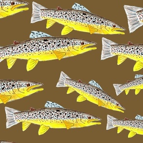 Hand Drawn Brown Trout on Brown