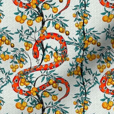 Snake and Orange Trees