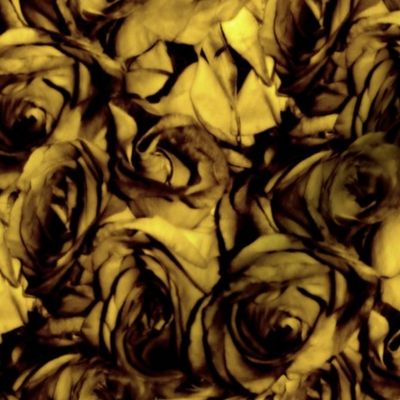 Golden Roses