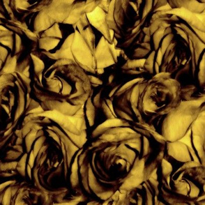 Golden Roses