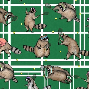 tennis raccoons