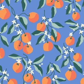 Sweet Clementines Blue