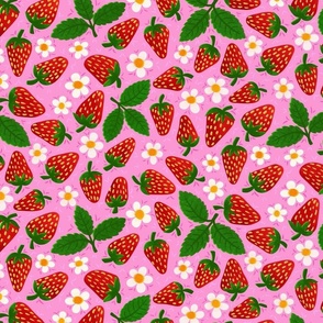 Strawberry fun medium