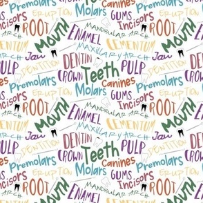 (small scale) dental terms colorful on white