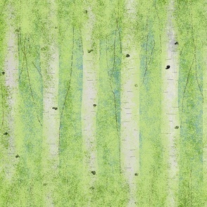 Northern Birch Tree Forest