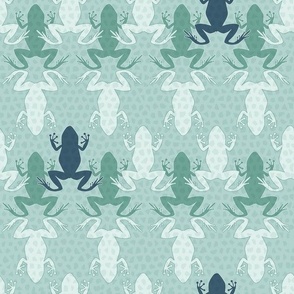 Frog light green/ blue