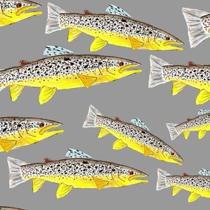 Hand Drawn Brown Trout on Grey