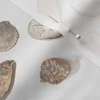 Serene Seashells - Small Scale