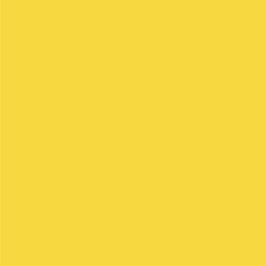 Solid Yellow Ochre 160124