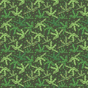 Green Forest Floor