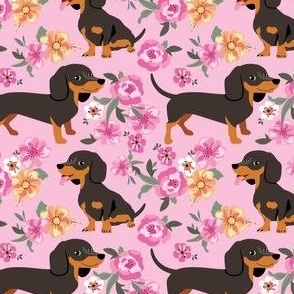 Dachshund dogs and pinks - pink flowers