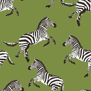 Jumping Zebras