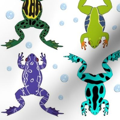 Leap Year Colorful Rainforest Frogs on white