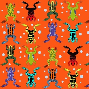 Leap year colorful rainforest frogs on bright orange