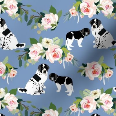 Landseer Newfoundland dogs pink roses and blue background 