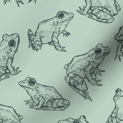 Sketched Frogs Hand-Drawn Animals on Sage Green