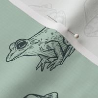 Sketched Frogs Hand-Drawn Animals on Sage Green