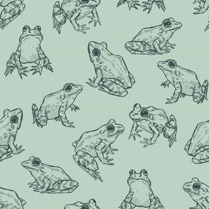 Sketched Frogs Hand-Drawn Animals on Sage Green