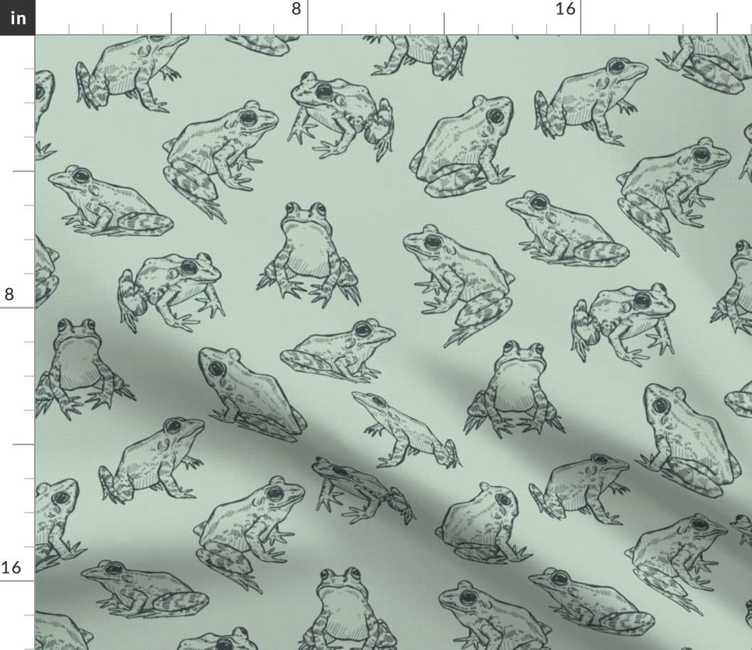 Sketched Frogs Hand-Drawn Animals on Sage Green