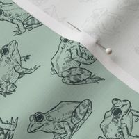 Tiny Sketched Frogs Hand-Drawn Animals on Sage Green 