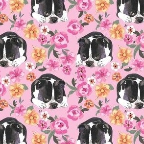 Boston Terrier Dog painted in watercolors and pink floral  
