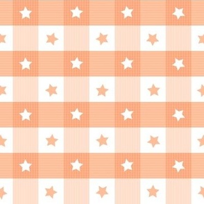1 inch  Gingham with stars and stripes - Peach fuzz