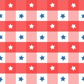1 inch Gingham with stars and stripes - Red and Blue