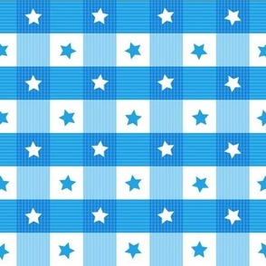 1 inch  Gingham with stars and stripes - Sky Blue