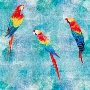 Small Multicolor Macaw Parrots on Turquoise and Ocean Blue Retro Hawaiian Tropical Surf