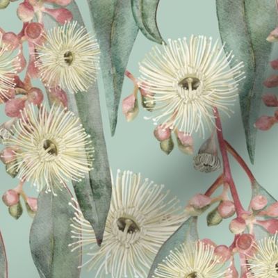 Bush Gum Blooms Light Blue