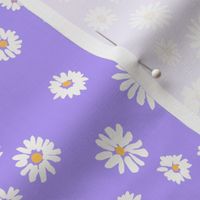 Daisy meadow, purple