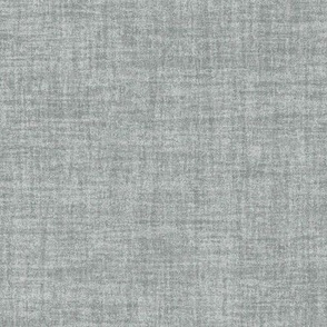 Celebrate Color Natural Texture Solid Gray Plain Gray Neutral Earth Tones _Boothbay Gray Steel Blue Gray ABB2AF Subtle Modern Abstract Geometric