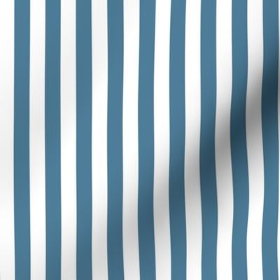 Blue and White Vertical Stripe Coordinate Small