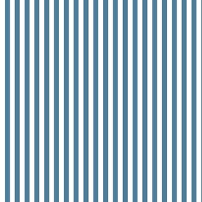 Blue and White Vertical Stripe Coordinate Small