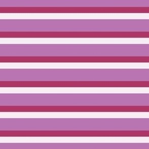 small purple stripe