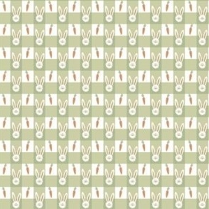 gingham bunnies and carrots - xs