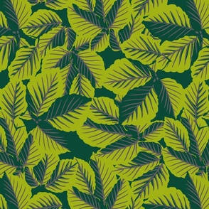 Beech Tree Hedges in Lime and  Emerald - Bluebell Woods Collection 