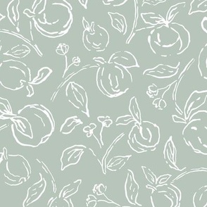 Teal and white hand drawn organic peach fruit branch outlines 